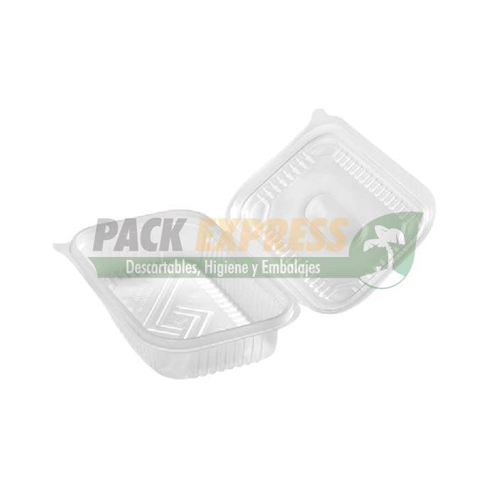 ESTUCHE CON TAPA BISAGRA PP 103 COTNYL