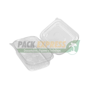 ESTUCHE CON TAPA BISAGRA PET COTNYL