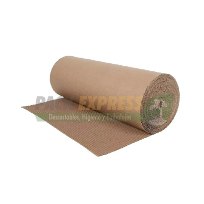 CARTON CORRUGADO 